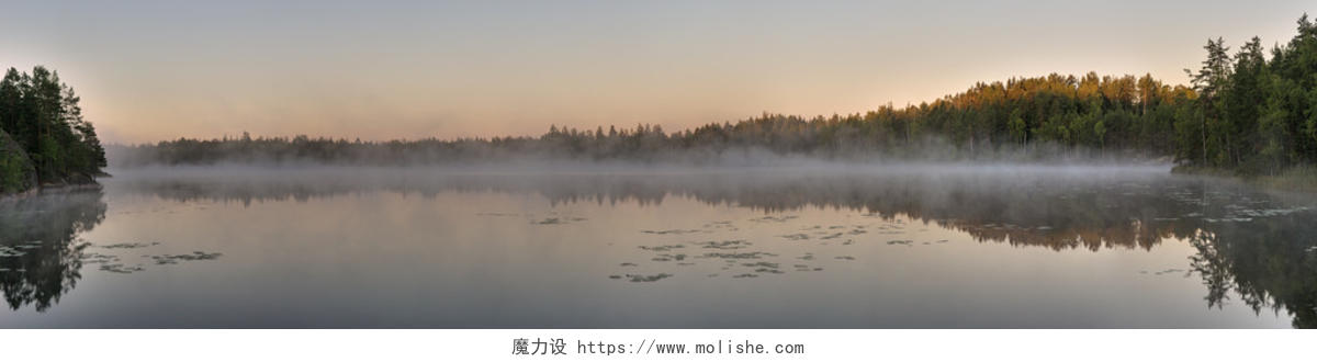 日出时森林湖晨雾的美丽风景图